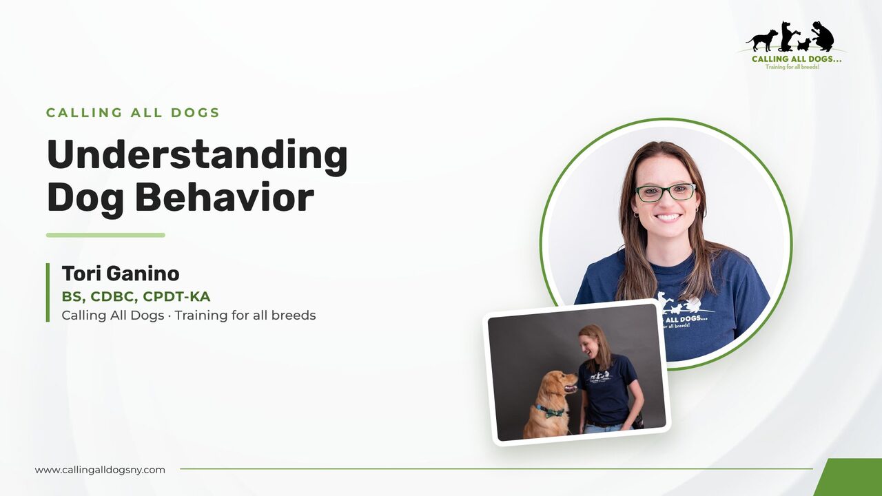 Title slide: Understanding Dog Behavior with Tori Ganino