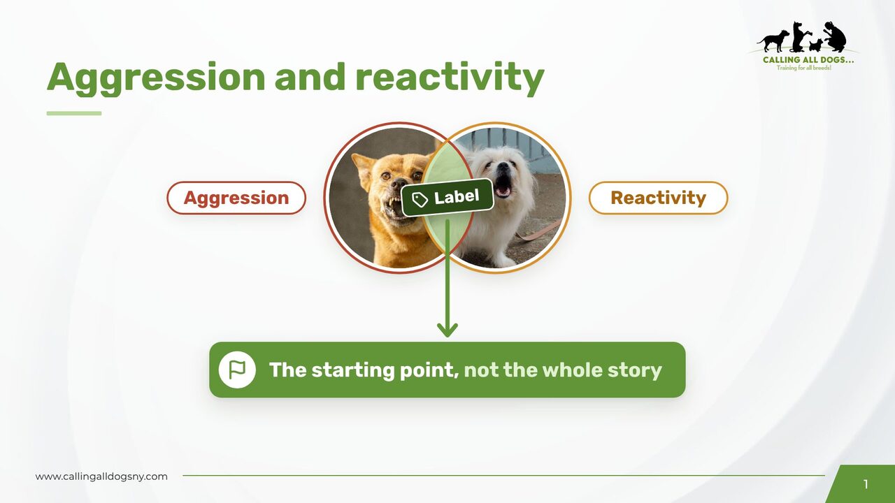Slide: the label is the starting point, not the whole story
