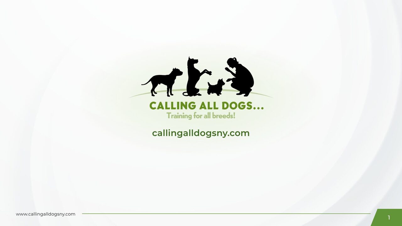 Calling All Dogs end card